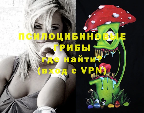 гидропоника Алзамай