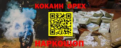 шишки Будённовск