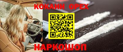 шишки Будённовск