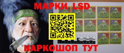 шишки Будённовск
