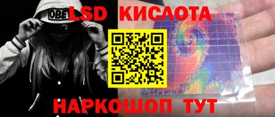 шишки Будённовск
