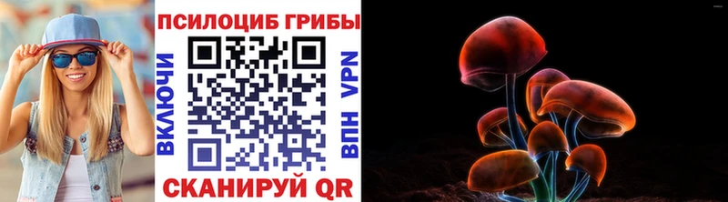 Псилоцибиновые грибы Cubensis  Белебей 